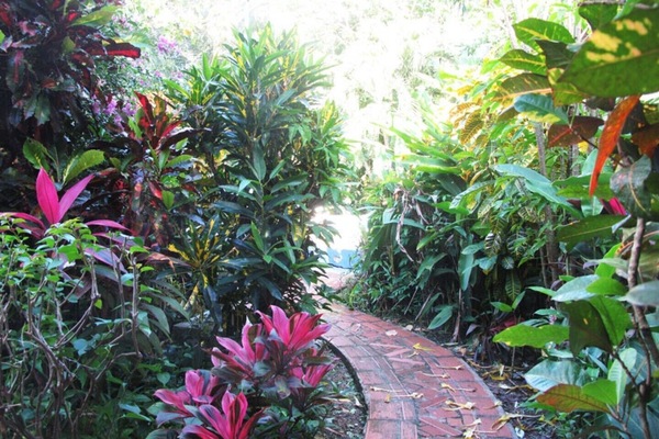 Tropical garden path leading to the pool