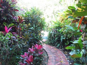 Een met bakstenen bestraat pad, omringd door weelderig groen en diverse planten.