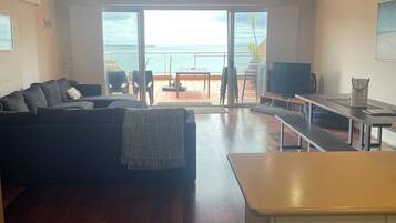 TV connectée, cheminée, Netflix, lecteur de DVD