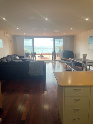 Smart TV, fireplace, Netflix, DVD player