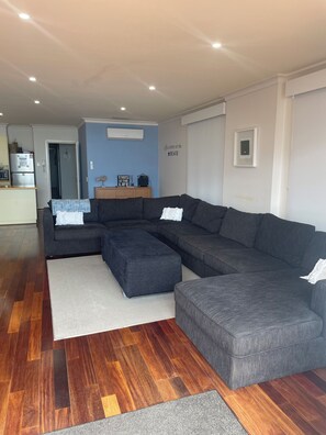 Smart TV, fireplace, Netflix, DVD player