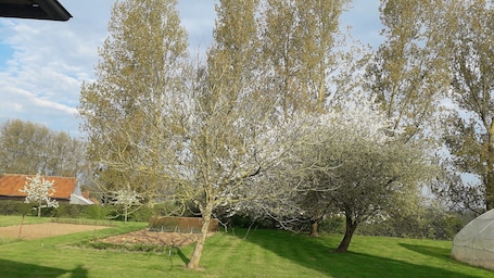 Property grounds. STUDIO Appart gite Petite Halte,... work, vacation.