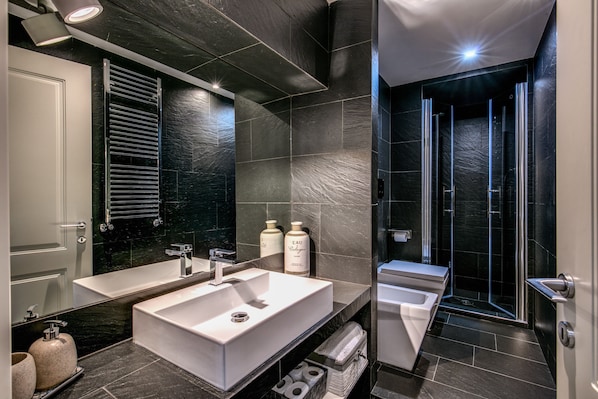 Shower, hair dryer, bidet, towels
