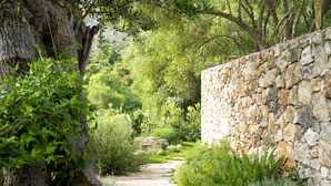 Un muro de piedra con un camino que atraviesa un exuberante jardín.