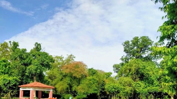A gazebo in a lush green park with trees and grass.