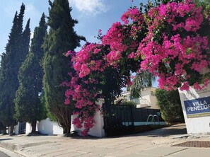 Exterior detail - Villa Penelope - Charming Protaras Centre Getaway (Protaras)