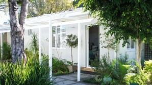 Un espace extérieur abrité, avec un chemin, des plantes en pot et un arbre.
