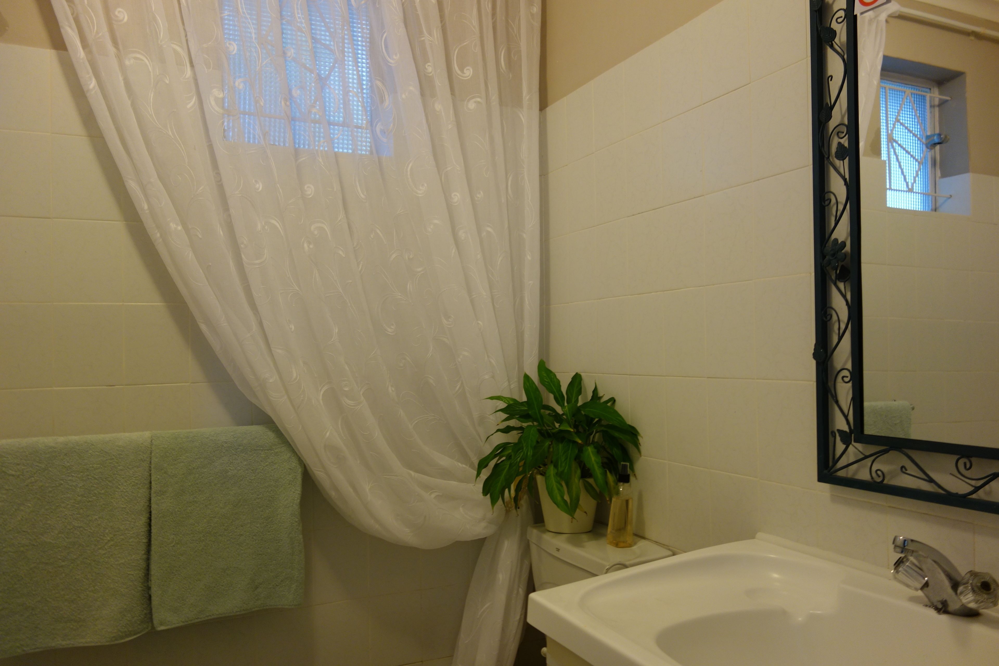 Une salle de bain avec un lavabo blanc, un miroir doté d’un cadre décoratif, une serviette verte et une plante en pot.