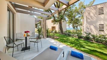Superior suite (Park side) | Terras