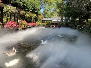 Um lago com cisnes e uma fonte.