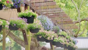 A woman sitting on a bench in a garden area with hanging planters and a variety of plants. - FlowerHome (Zhuolan)