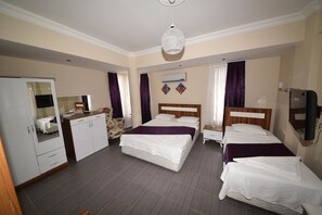 Basic Triple Room
