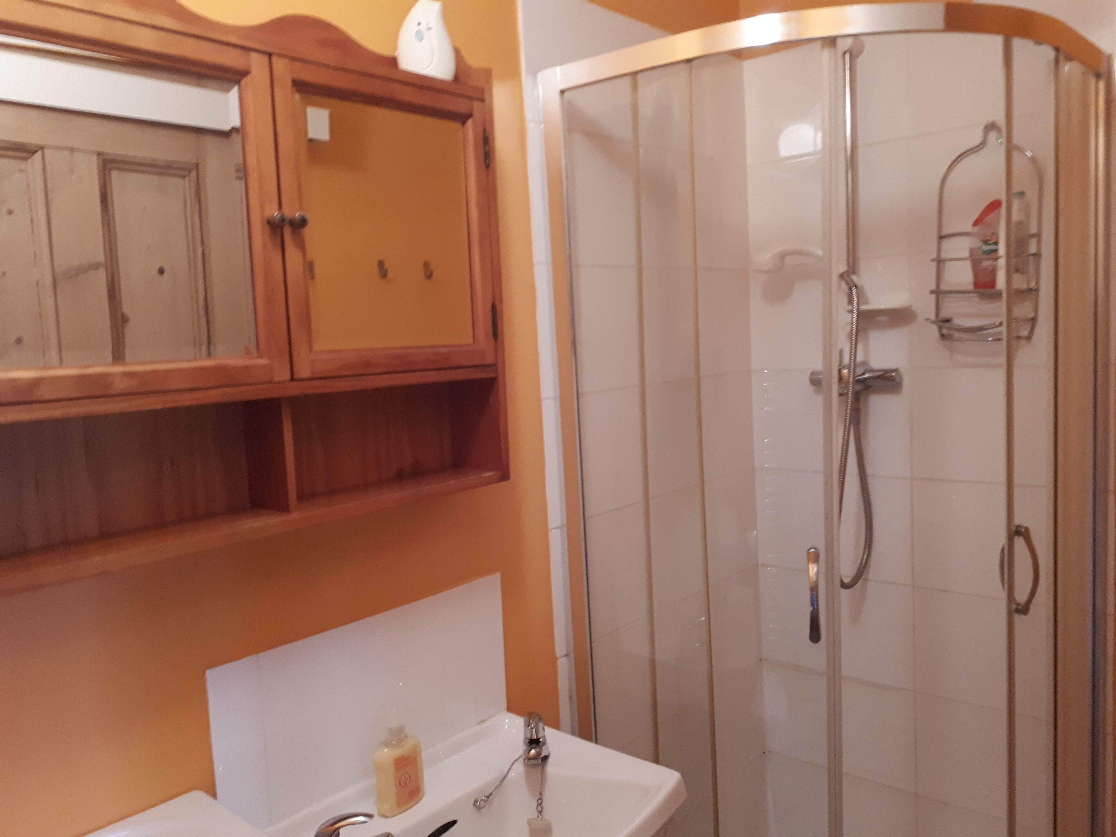 Regadera, amenidades de baño gratuitas, secadora de cabello, toallas 