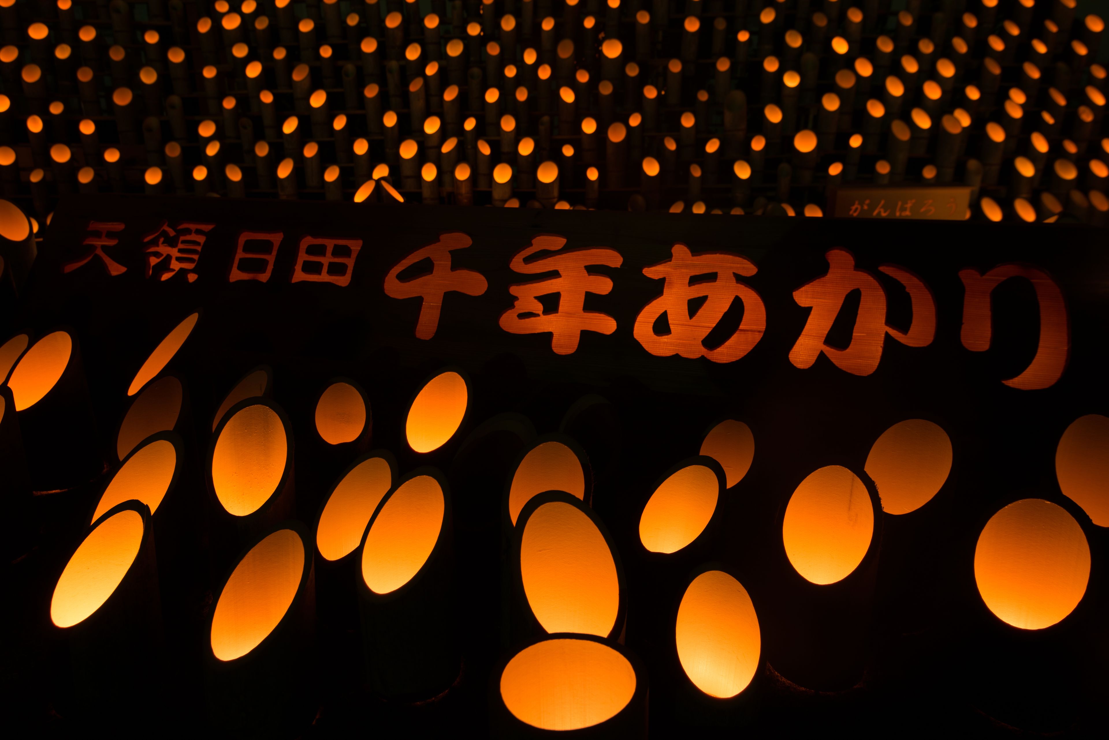A row of illuminated lanterns with Japanese characters.
