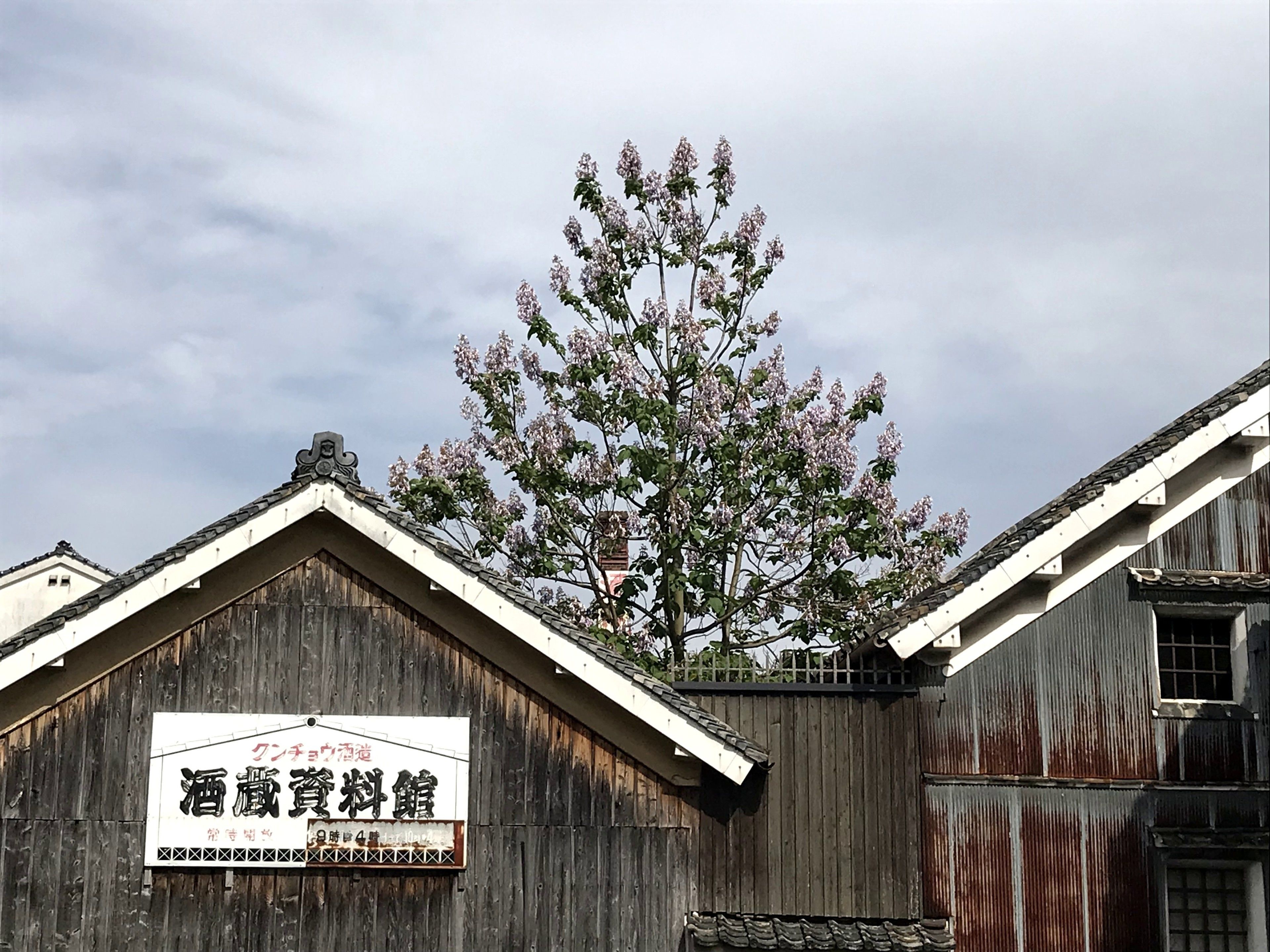 A rustic building with a signboard, wooden walls, and a tree with pink flowers.