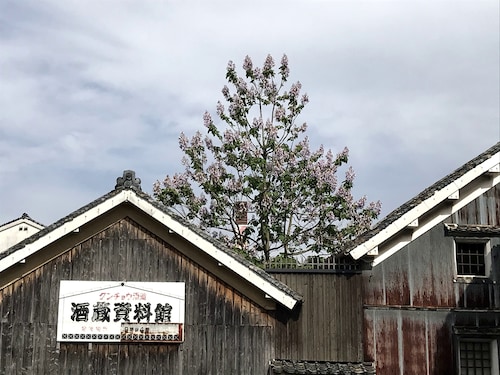 部屋からの景観