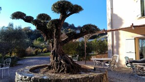 Garden - L'escale Provencale (Tourrettes)