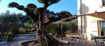 L'escale Provencale