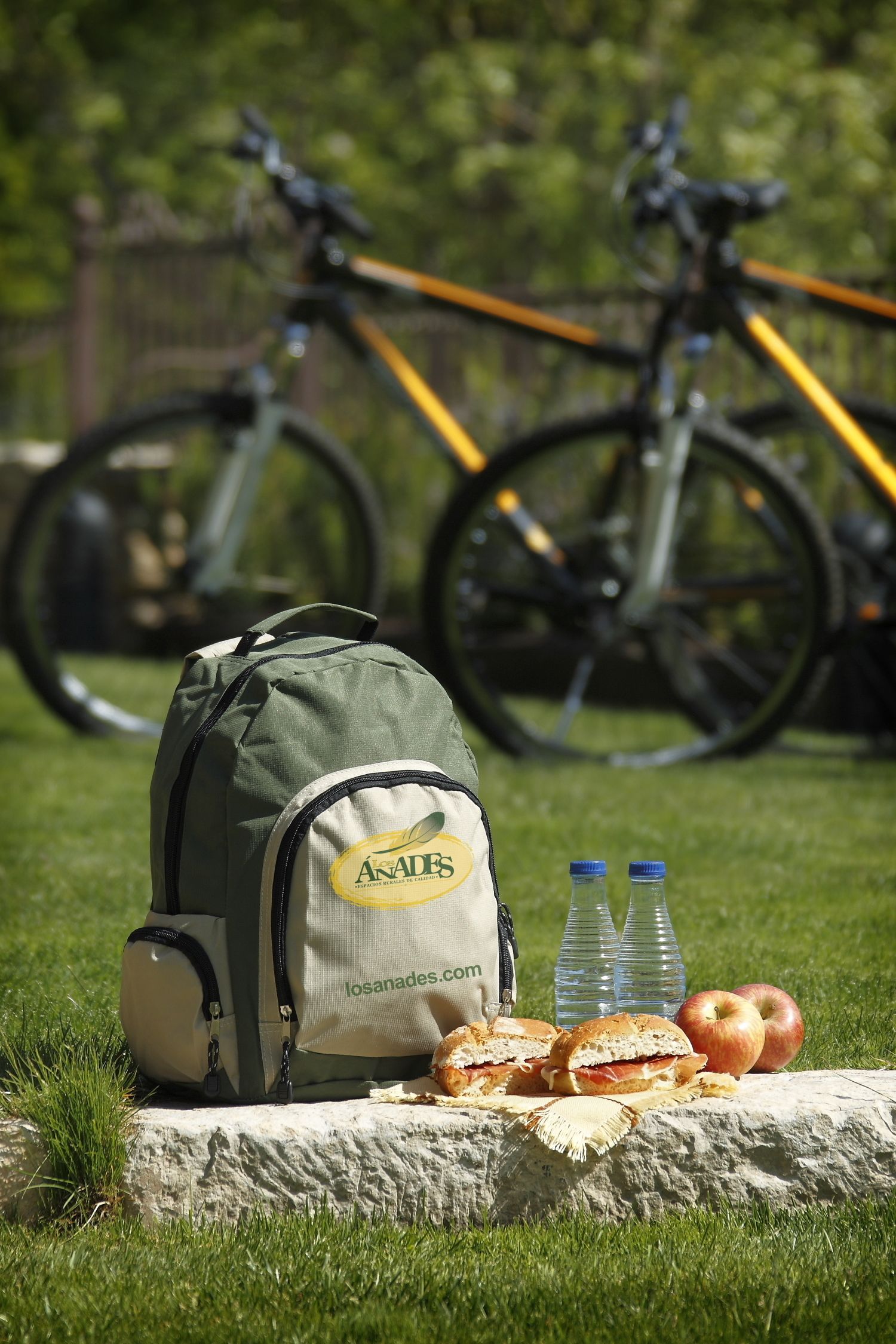 A backpack, two water bottles, and a sandwich on a rock with a bicycle in the background.