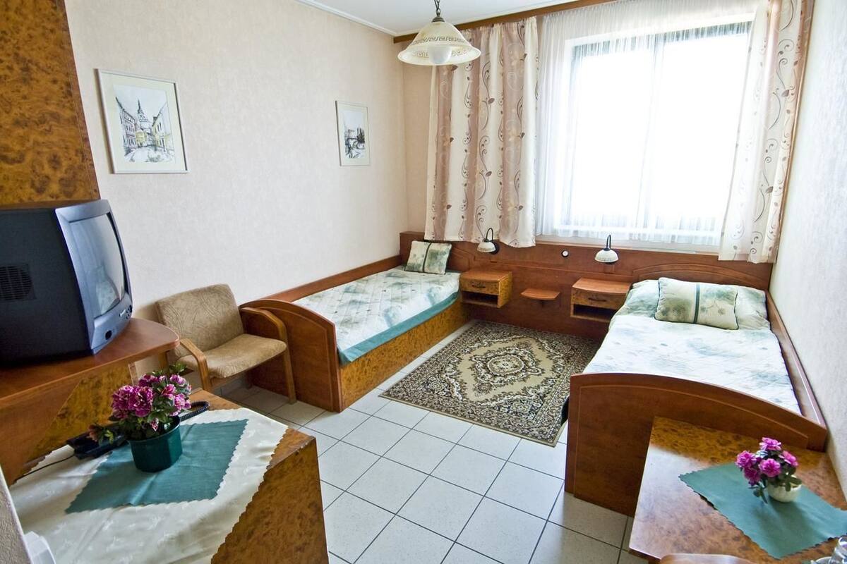 Ein kompaktes Hotelzimmer mit zwei Einzelbetten, einem Sofa, einem Fernseher und einem kleinen Tisch mit Blumenvase.