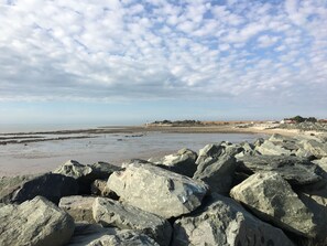 Playa en los alrededores y camastros 