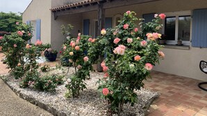 Una casa con un patio empedrado, contraventanas azules y un jardín de rosas rosadas.