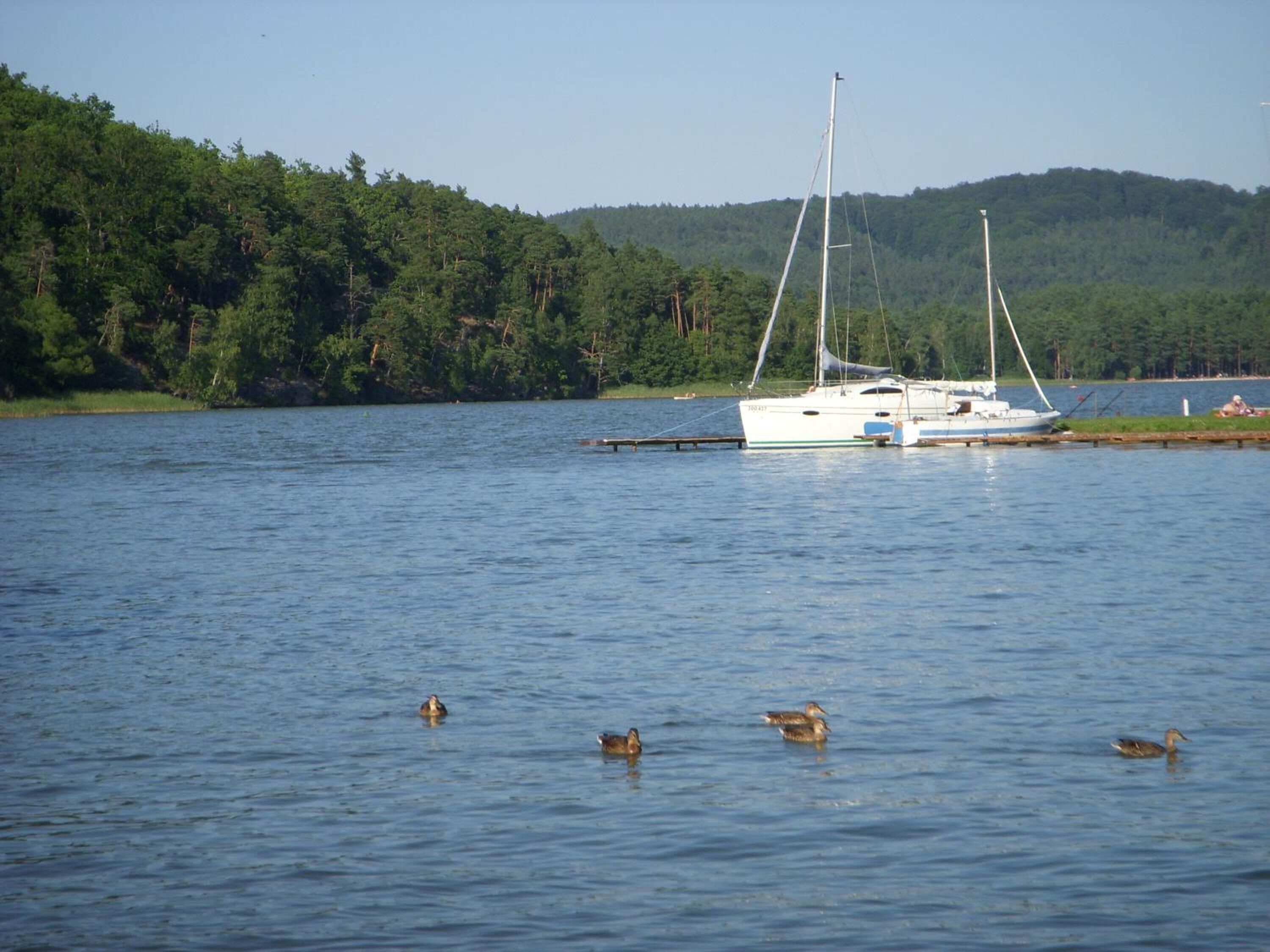Ein ruhiger See mit einem am Ufer vertäuten Segelboot, umgeben von dichtem Wald.