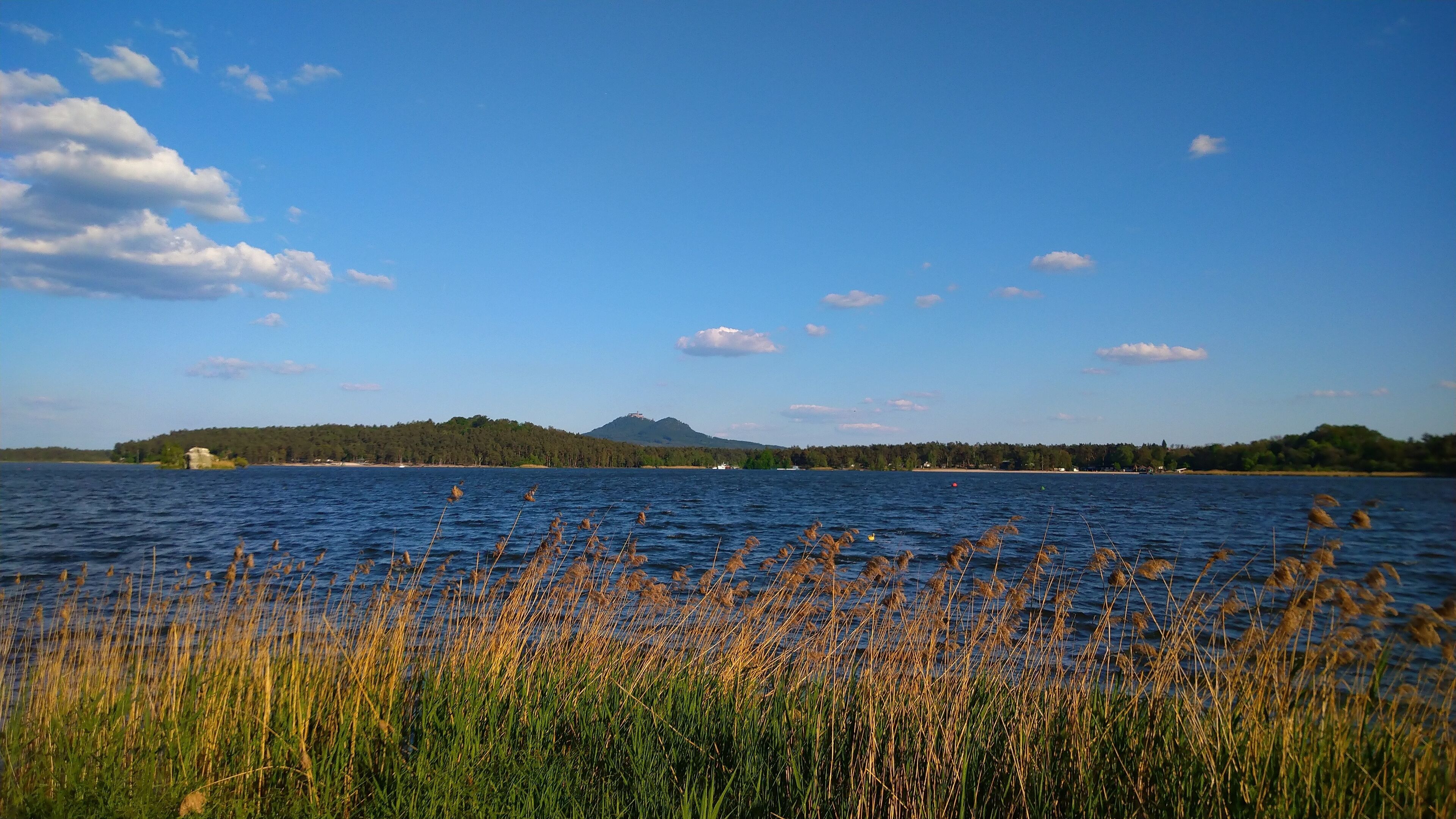 Un lago tranquilo con una colina distante y vegetación escasa en primer plano.