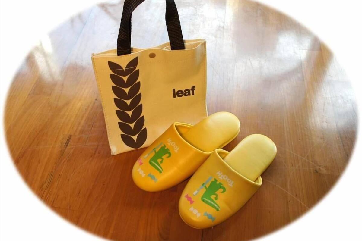 combined shower/bathtub, free toiletries, hair dryer, slippers