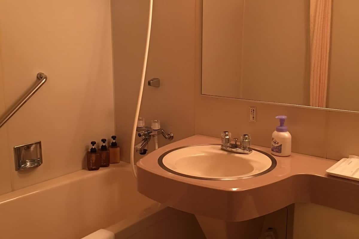 combined shower/bathtub, free toiletries, hair dryer, slippers