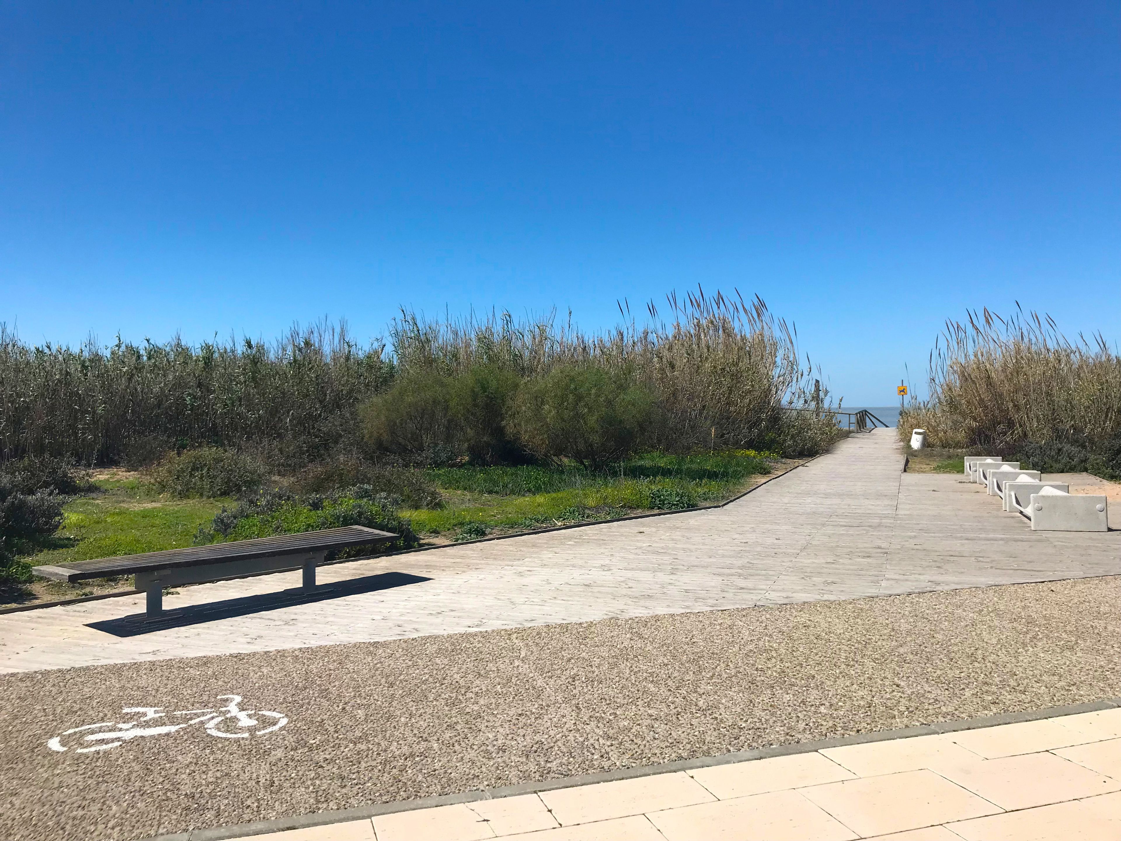 Un camino pavimentado con carril bici, bancos y zona verde con arbustos.