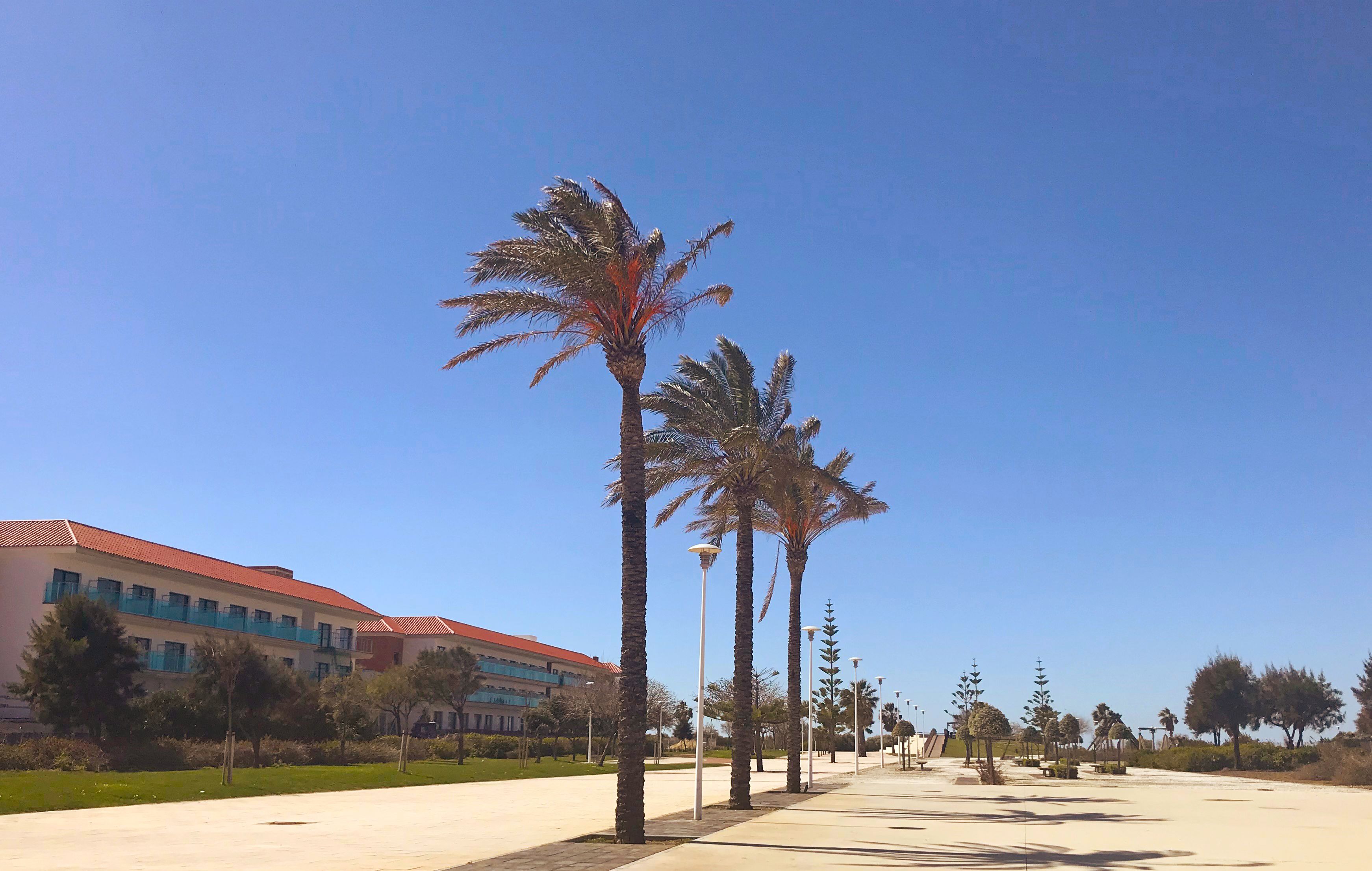 A building with a red roof and multiple floors, surrounded by a well-maintained lawn and palm trees.