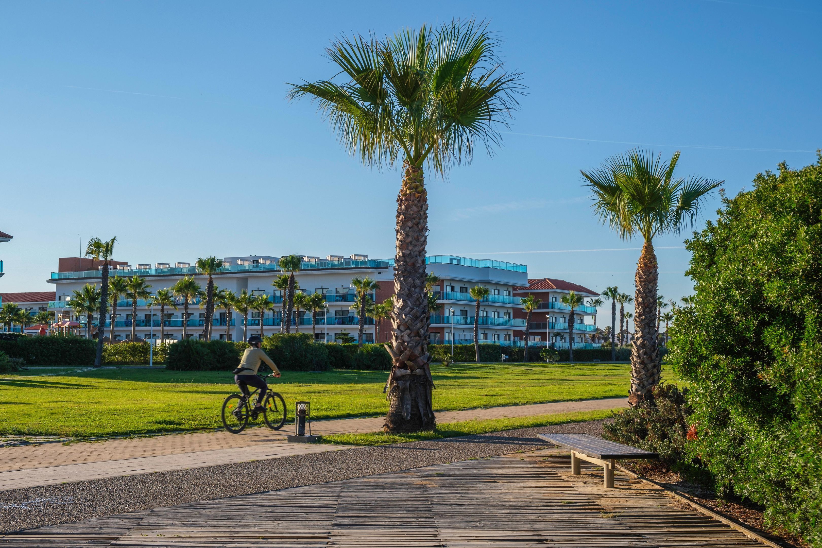 A hotel with a modern design, featuring a large building with multiple balconies and palm trees in the foreground.