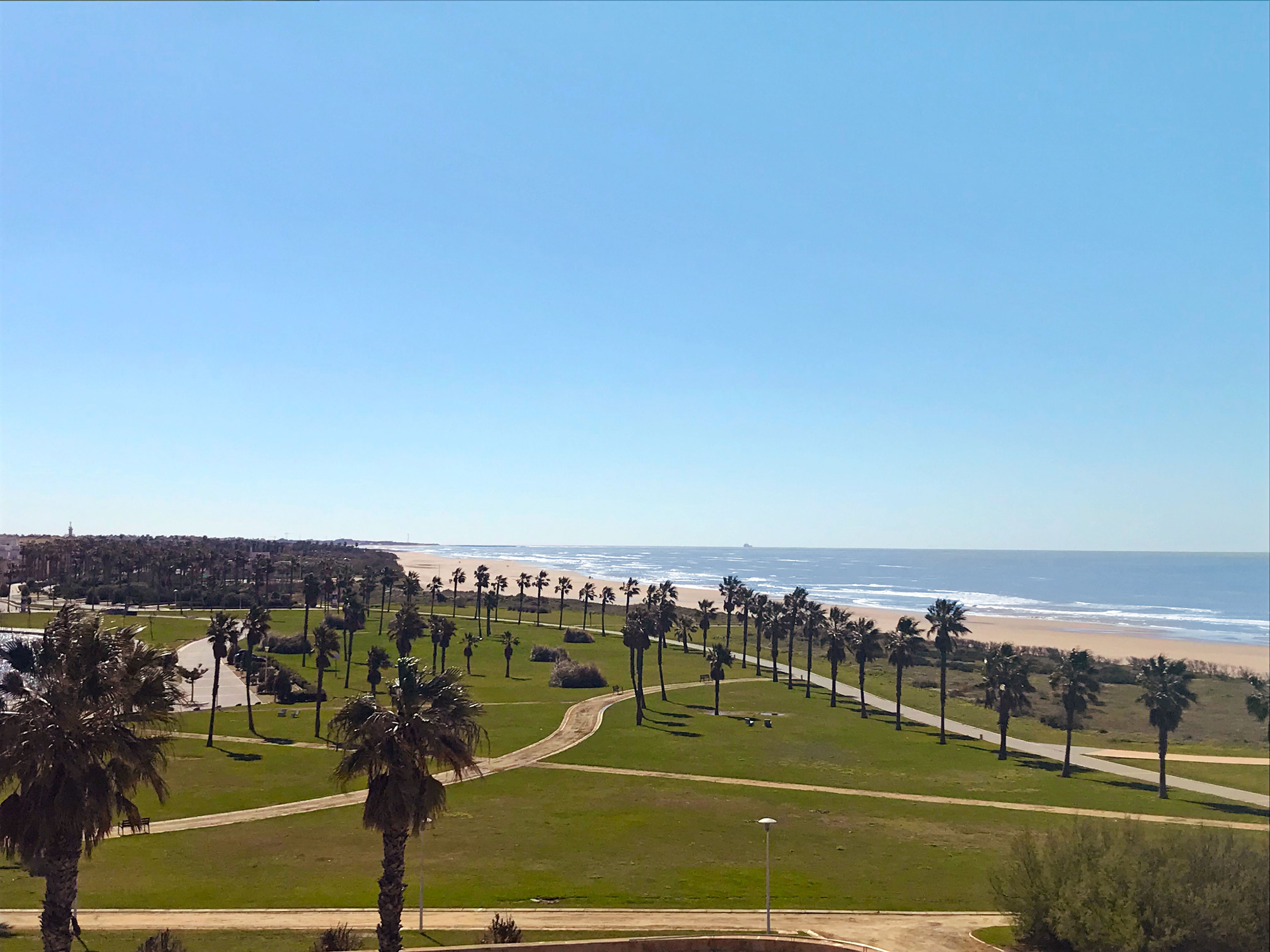 Un parque costero con un sendero pavimentado, palmeras y vistas a la playa y al océano.
