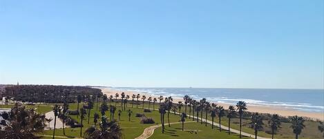 Un parque costero con un sendero pavimentado, palmeras y vistas a la playa y al océano.