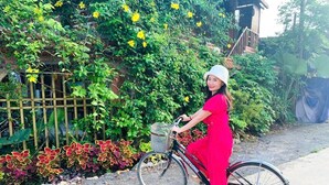 Eine Person mit einem Fahrrad in einem Garten, umgeben von Pflanzen und einer Hecke.