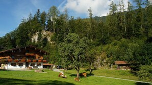 Een klassieke houten chalet met een balkon, gelegen in een weelderig groen landschap met een bebost bergdecor.