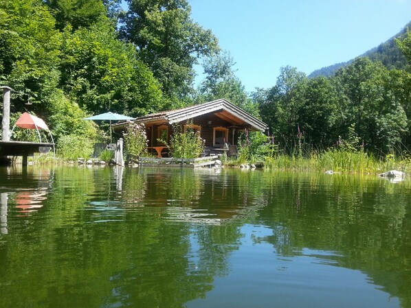 Escape to a serene lakeside retreat surrounded by lush greenery and trees, with a dock extending into the water.