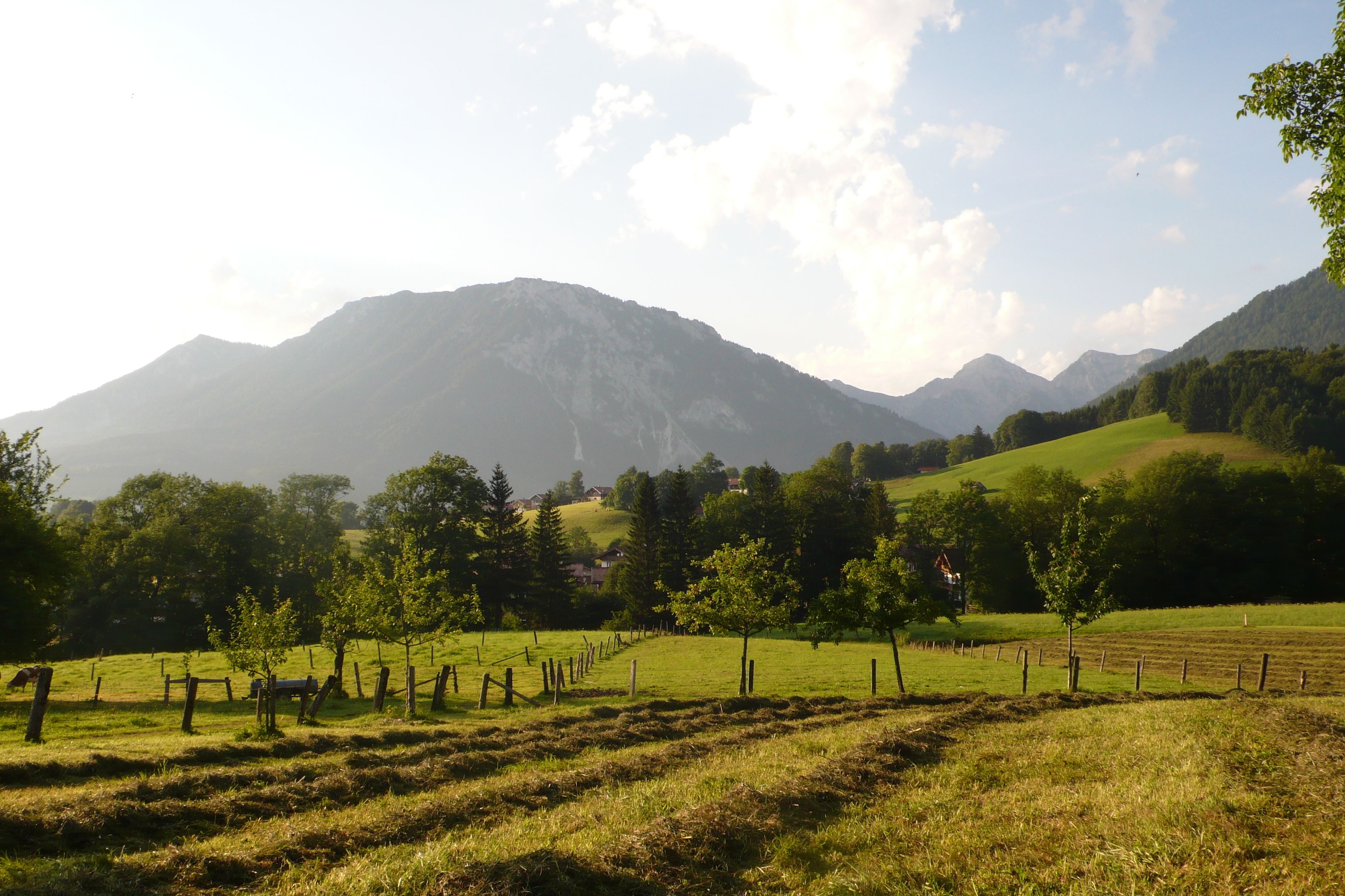 Ländliche Landschaft mit einem Berg im Hintergrund, einem eingezäunten Feld und vereinzelten Bäumen.