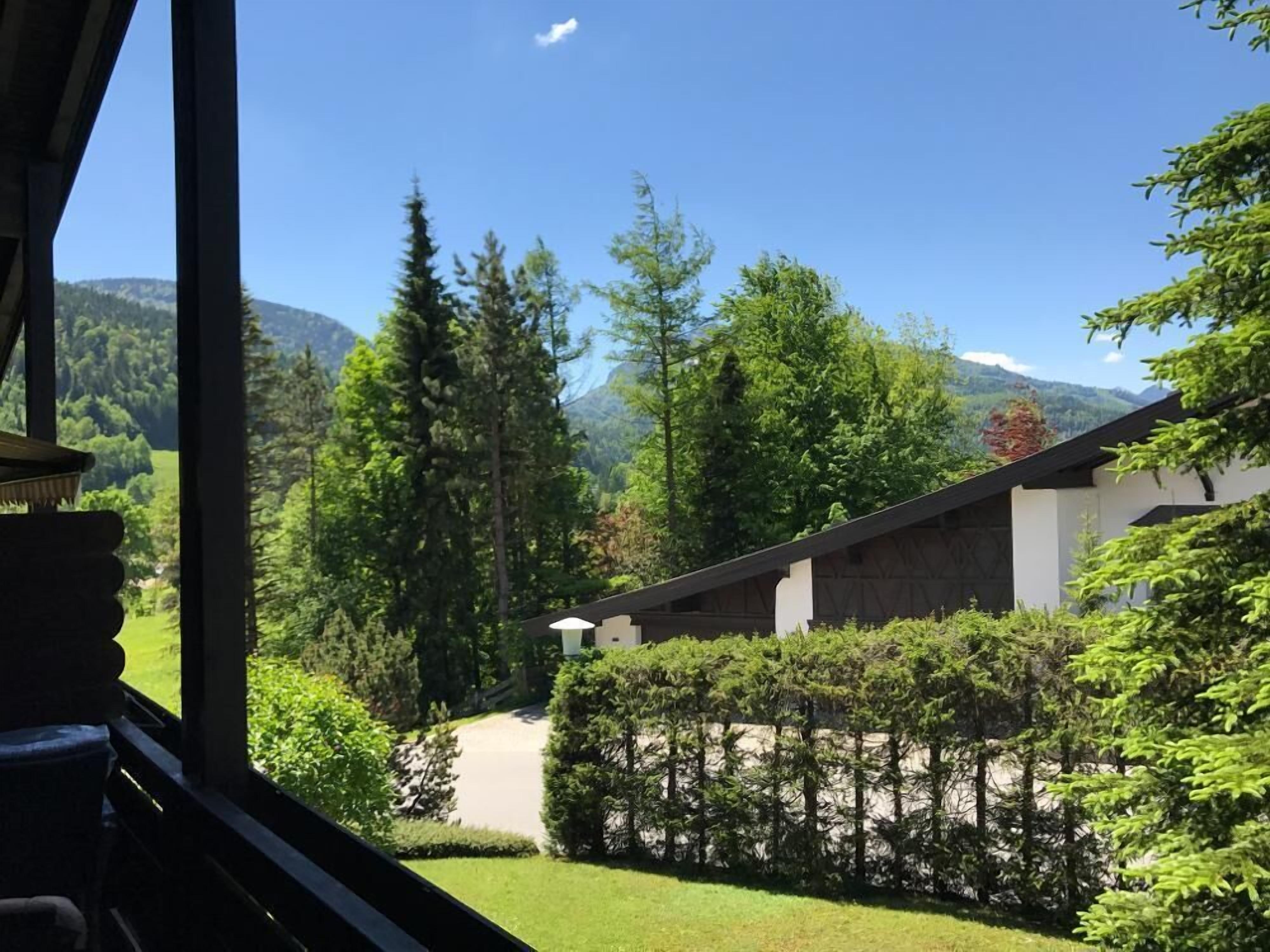 A view from inside a building looking out to a well-maintained garden with a variety of trees and a mountain in the background.