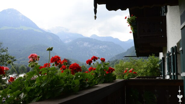 A balcony with red flowers and a view of mountains. - Alpenhof Punzenlehen (Schoenau am Koenigssee)