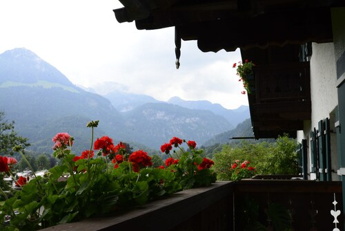 Alpenhof Punzenlehen