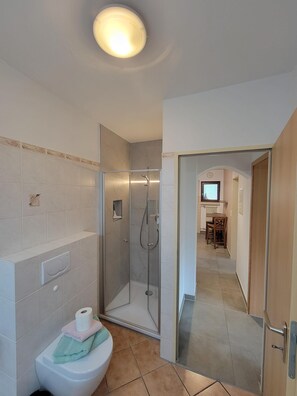 A bathroom with a glass-enclosed shower, a toilet, and a sink.