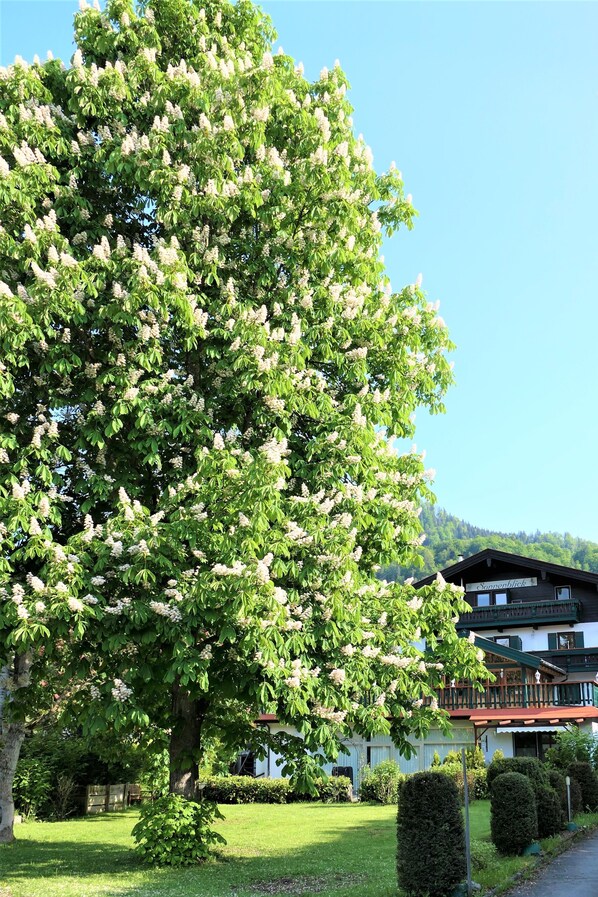 Exterior - 2 1/2-room vacation apartment, 50m², bathroom, kitchenette and south-facing balcony, top floor (7) (Reit im Winkl)