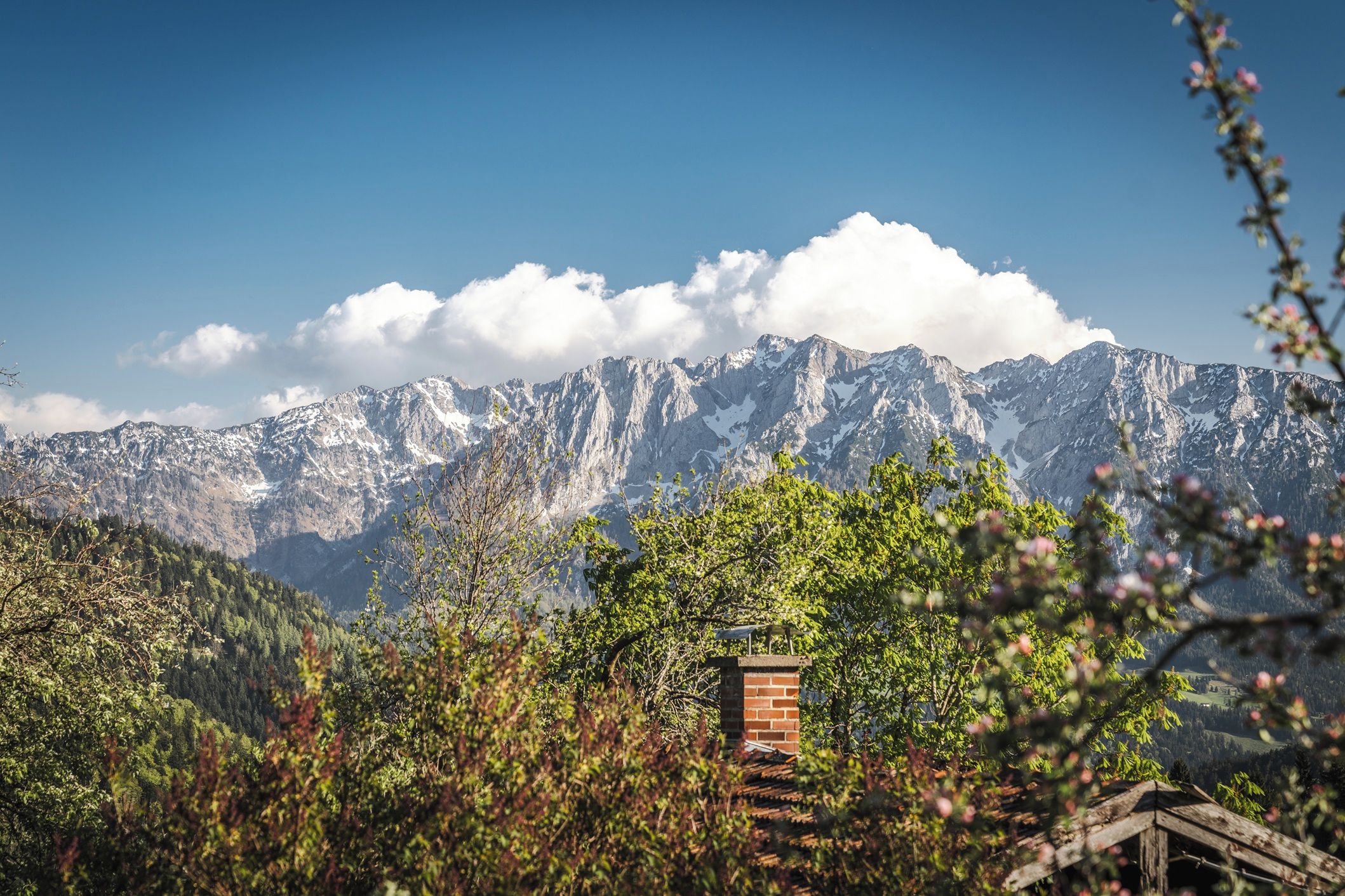 Paesaggio montano con una baita in primo piano.