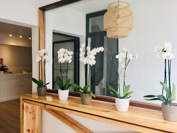 A reception desk with a wooden counter, potted plants, and a hanging light fixture. - El Hotelito 27 (Santa Cruz de la Palma)
