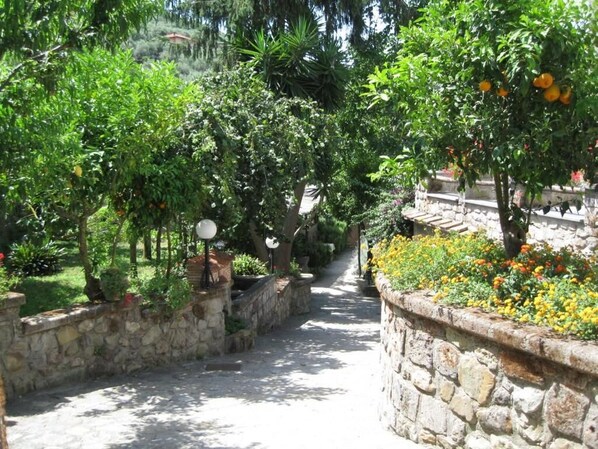 A stone pathway flanked by lush greenery and flowering plants, leading through a garden area. - Agriturismo Il Convento (Massa Lubrense)