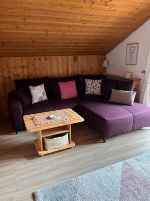 Televisio, DVD-soitin