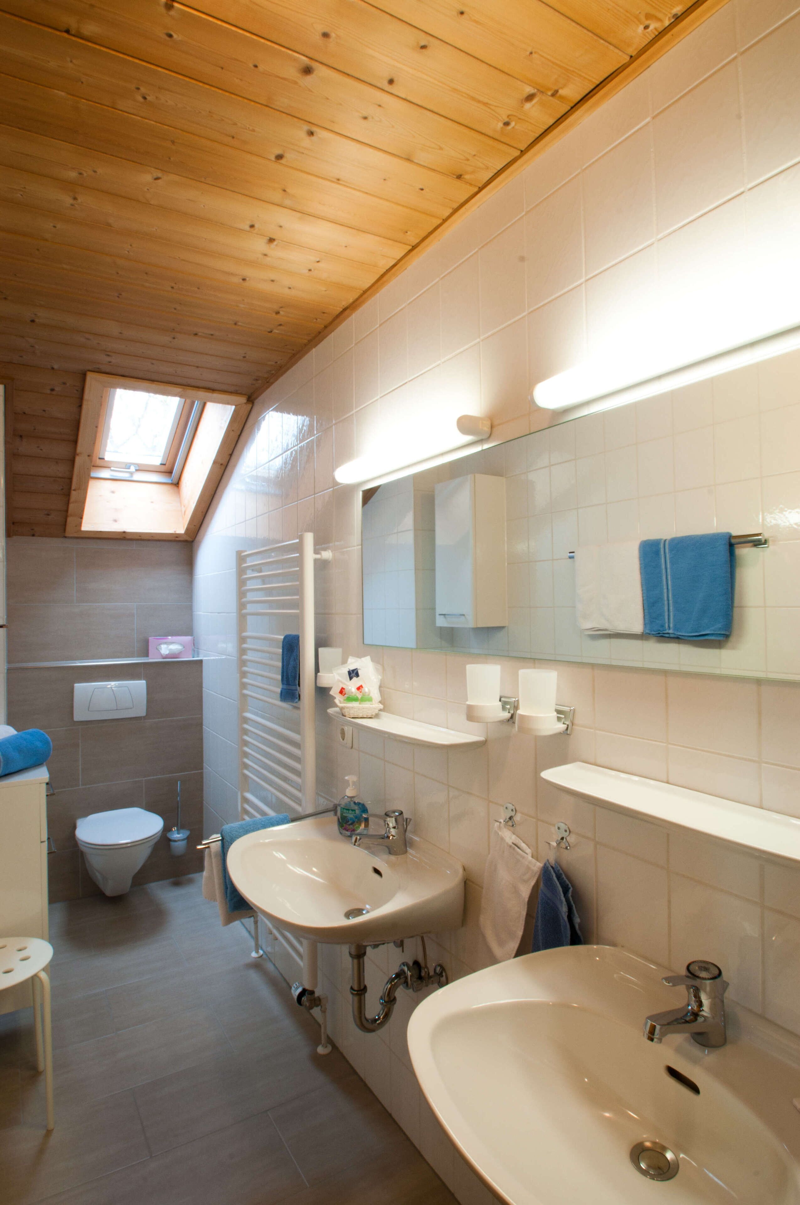 A modern bathroom with a skylight, two sinks, a toilet, and a shower.