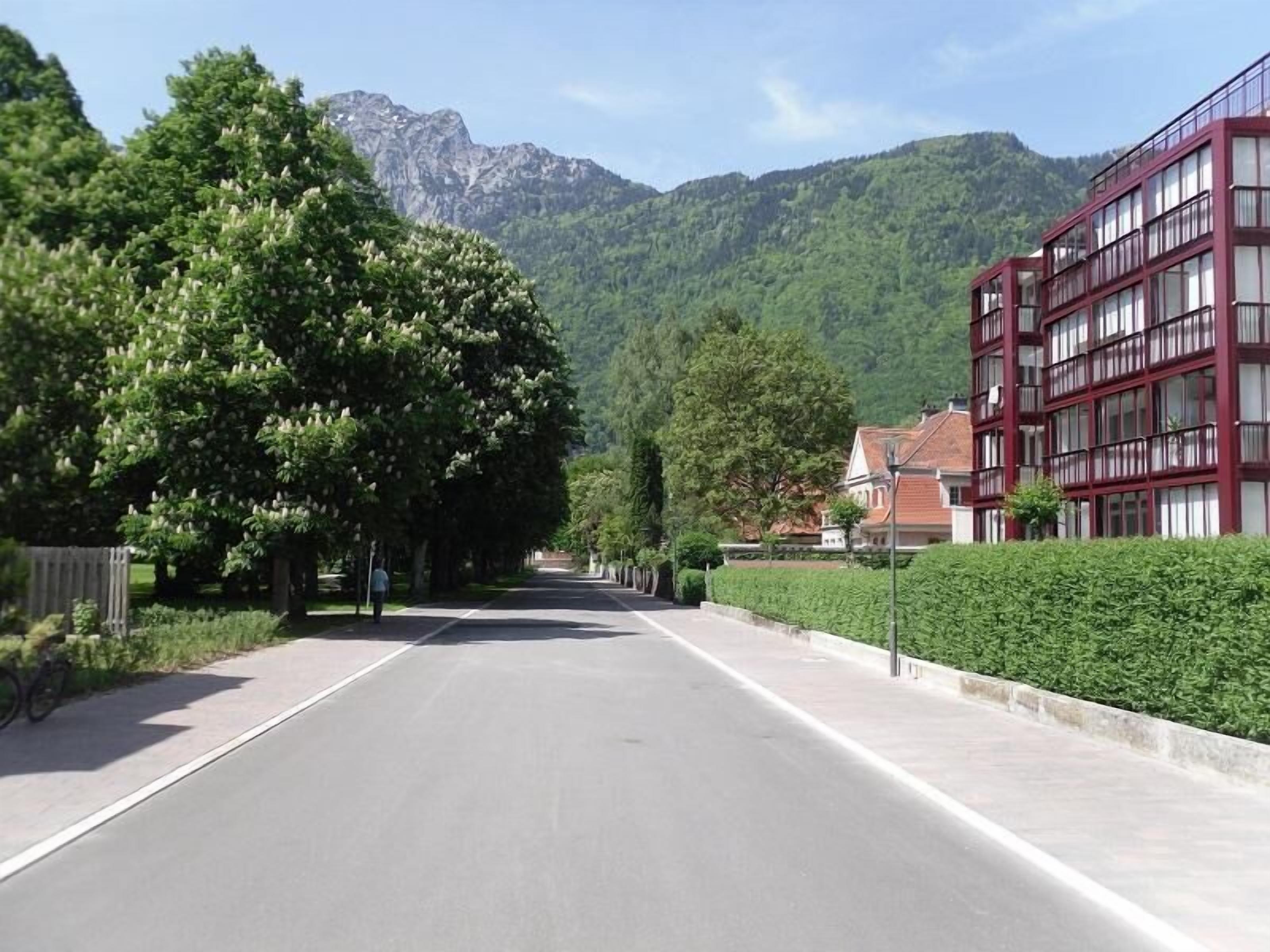 A tree-lined street with a modern building on the right.